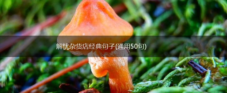解忧杂货店经典句子(通用50句),第1张