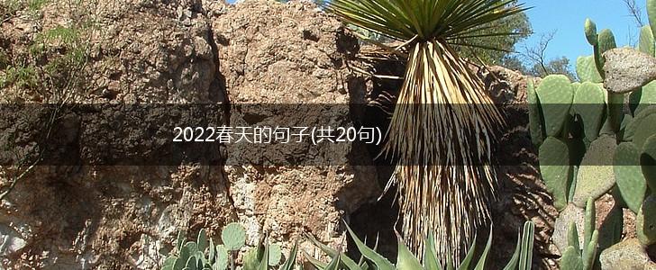 2022春天的句子(共20句),第1张