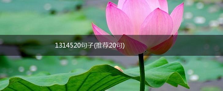 1314520句子(推荐20句),第1张