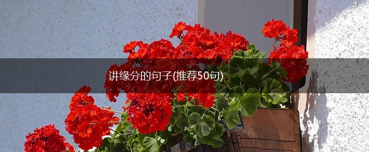 讲缘分的句子(推荐50句),第1张