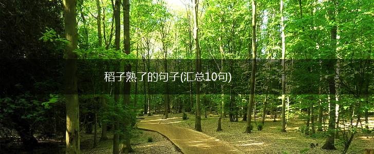 稻子熟了的句子(汇总10句),第1张