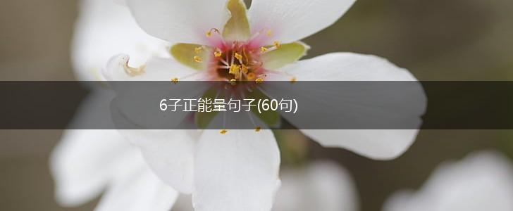 6子正能量句子(60句),第1张