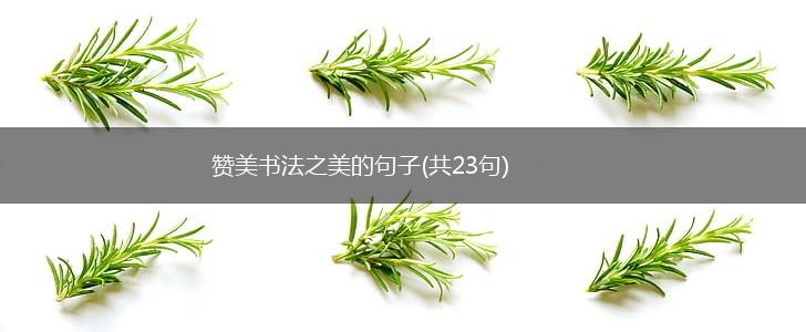 赞美书法之美的句子(共23句),第1张
