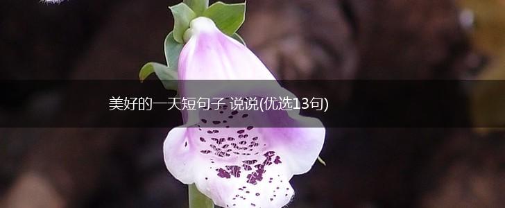 美好的一天短句子 说说(优选13句),第1张