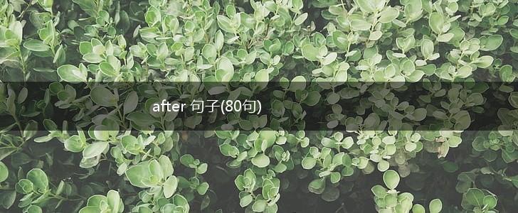 after 句子(80句),第1张