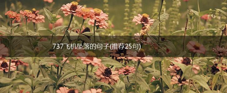 737飞机坠落的句子(推荐25句),第1张
