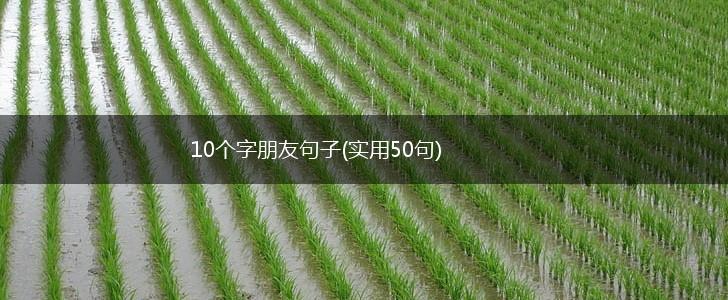 10个字朋友句子(实用50句),第1张