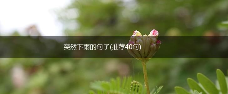 突然下雨的句子(推荐40句),第1张