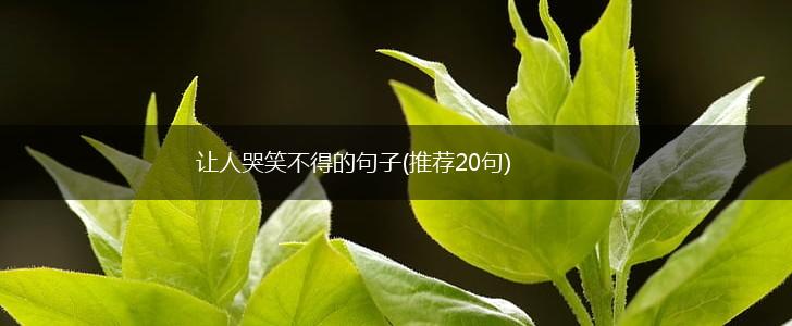 让人哭笑不得的句子(推荐20句),第1张