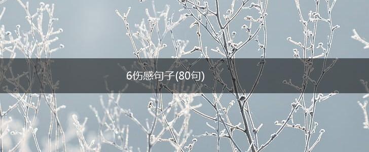 6伤感句子(80句),第1张