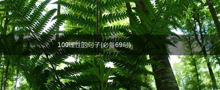 100理性的句子(必备69句),第1张