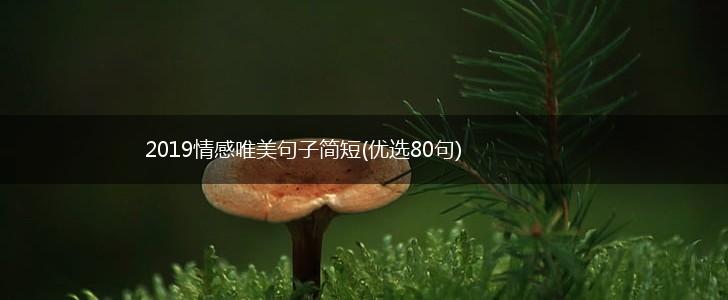 2019情感唯美句子简短(优选80句),第1张