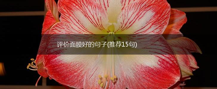评价面膜好的句子(推荐15句),第1张