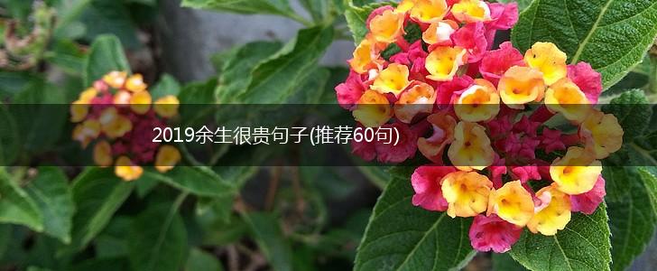 2019余生很贵句子(推荐60句),第1张