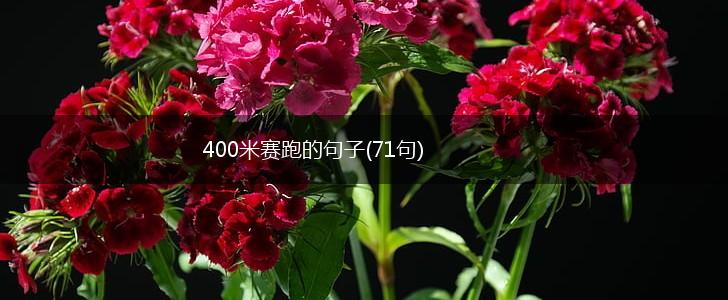400米赛跑的句子(71句),第1张