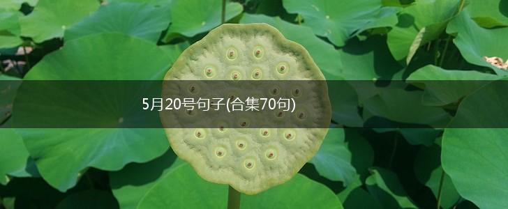 5月20号句子(合集70句),第1张