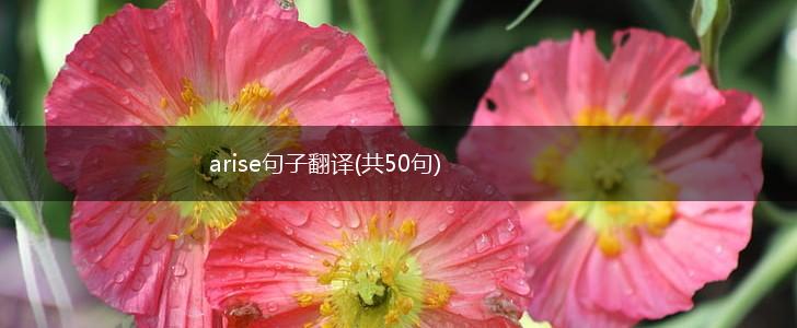 arise句子翻译(共50句),第1张