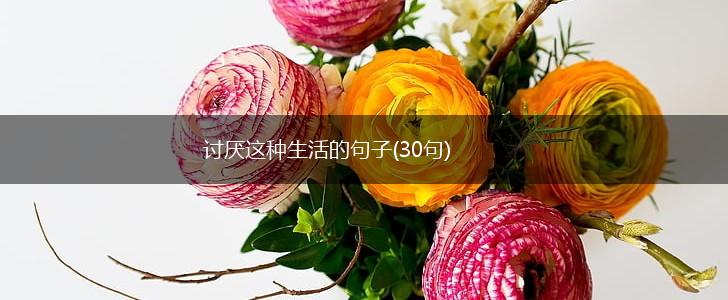 讨厌这种生活的句子(30句),第1张