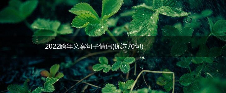 2022跨年文案句子情侣(优选70句),第1张