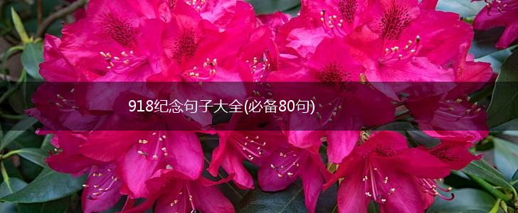 918纪念句子大全(必备80句),第1张