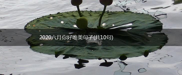 2020六月你好唯美句子(共10句),第1张