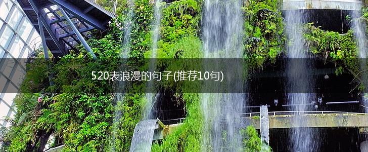520表浪漫的句子(推荐10句),第1张