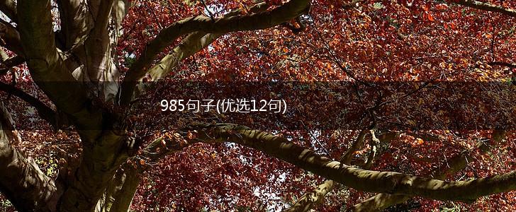 985句子(优选12句),第1张