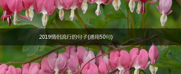 2019情侣流行的句子(通用50句),第1张
