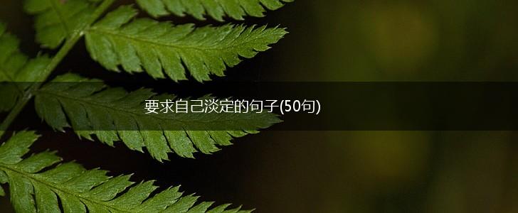 要求自己淡定的句子(50句),第1张