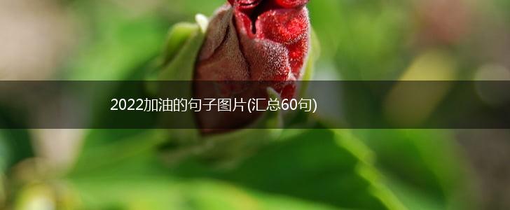 2022加油的句子图片(汇总60句),第1张