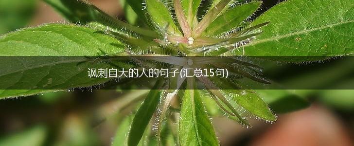 讽刺自大的人的句子(汇总15句),第1张