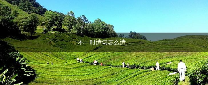不一时造句怎么造,第1张