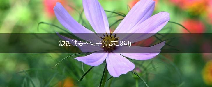 缺钱缺爱的句子(优选18句),第1张
