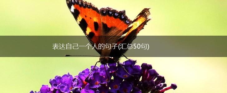 表达自己一个人的句子(汇总50句),第1张