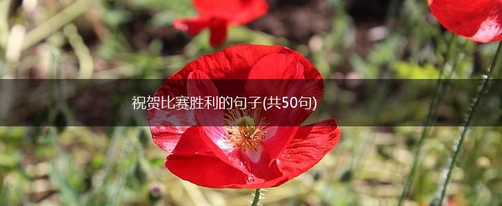 祝贺比赛胜利的句子(共50句),第1张