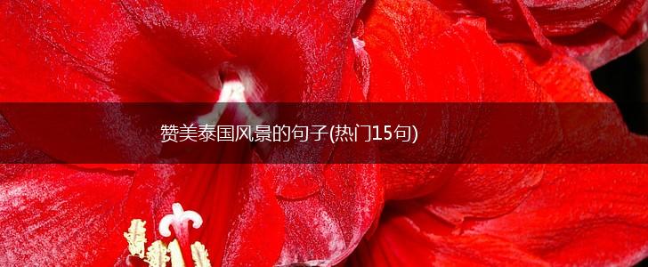 赞美泰国风景的句子(热门15句),第1张
