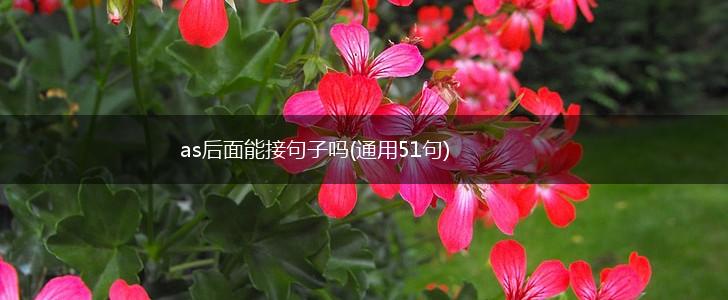 as后面能接句子吗(通用51句),第1张