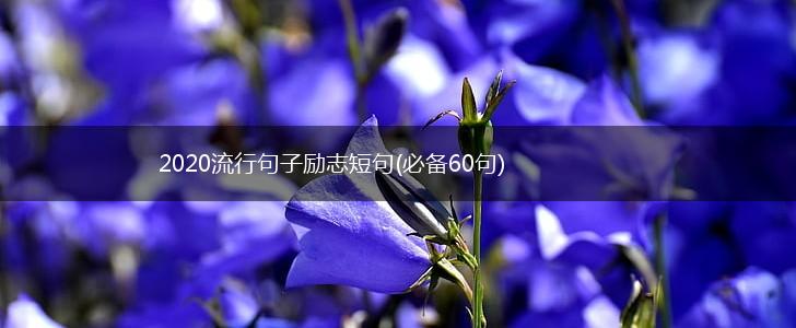 2020流行句子励志短句(必备60句),第1张