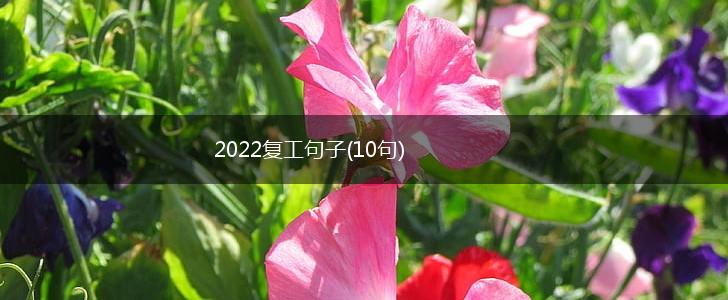 2022复工句子(10句),第1张