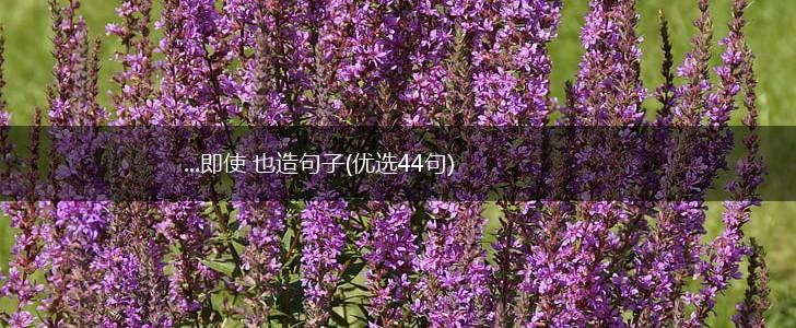 ...即使 也造句子(优选44句),第1张