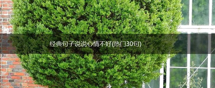 经典句子说说心情不好(热门30句),第1张