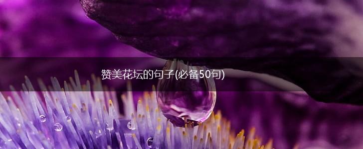 赞美花坛的句子(必备50句),第1张