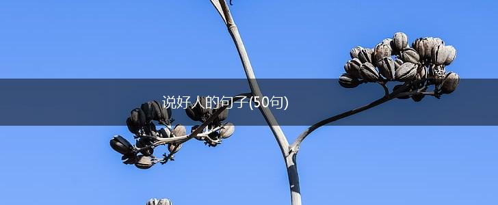 说好人的句子(50句),第1张