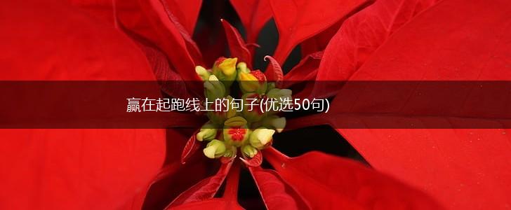 赢在起跑线上的句子(优选50句),第1张