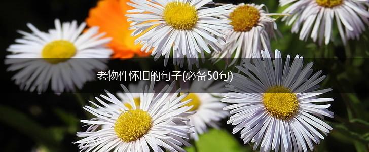 老物件怀旧的句子(必备50句),第1张