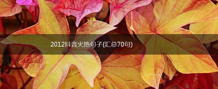 2012抖音火热句子(汇总70句),第1张
