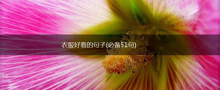 衣服好看的句子(必备51句),第1张