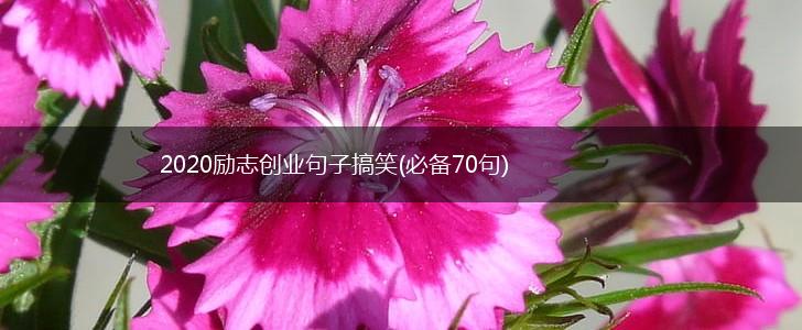 2020励志创业句子搞笑(必备70句),第1张