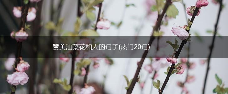 赞美油菜花和人的句子(热门20句),第1张