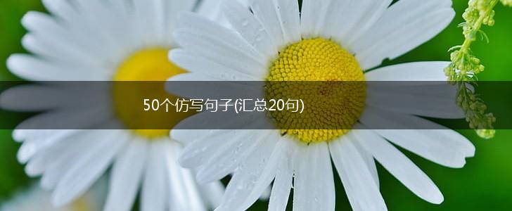 50个仿写句子(汇总20句),第1张